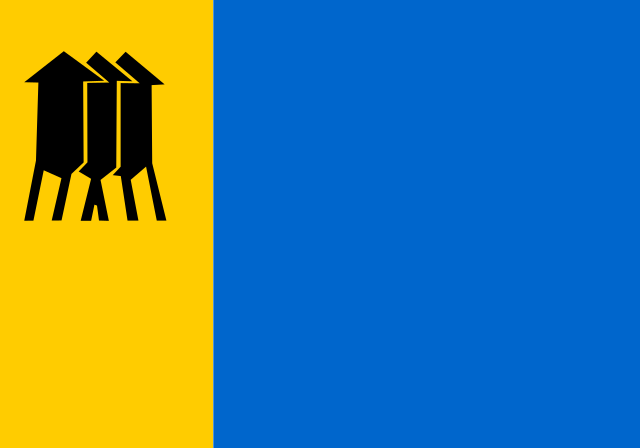 640px-Bandeira_de_Porto_Velho.svg.png